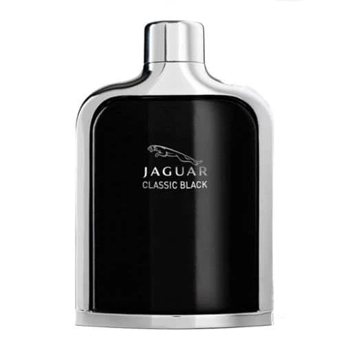 Jaguar  Jaguar Classic Black photo 3